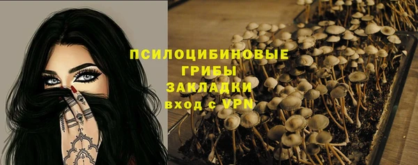 экстази Алексин