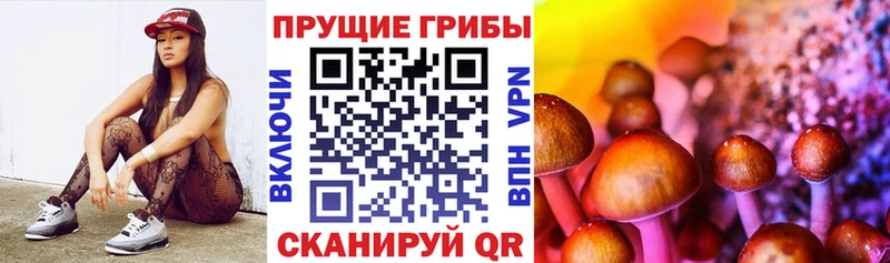 Галлюциногенные грибы Magic Shrooms  гидра tor  Алупка 